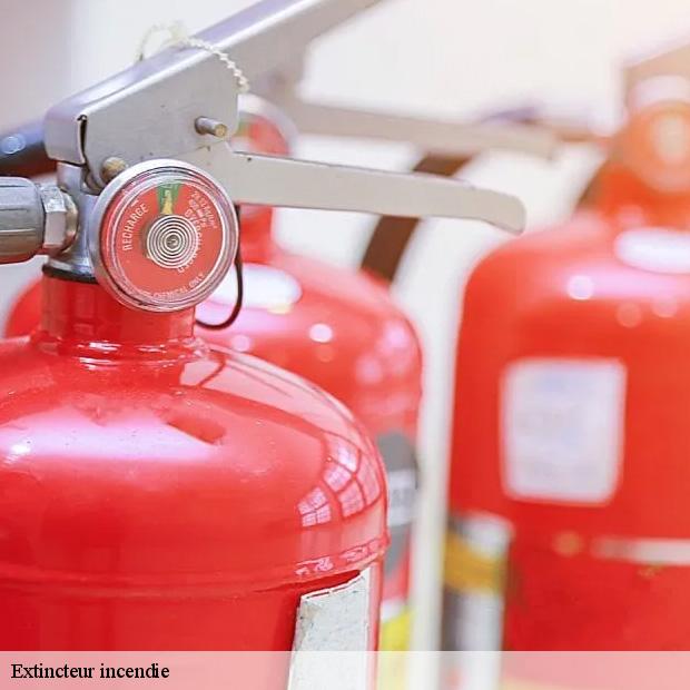 specialiste-extincteur-incendie-creteil-94000-3
