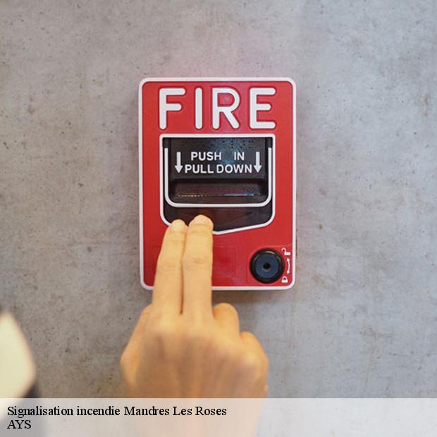 specialiste-de-la-signalisation-incendie-mandres-les-roses-94520-7