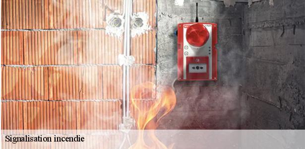 specialiste-de-la-signalisation-incendie-nogent-sur-marne-94130-6