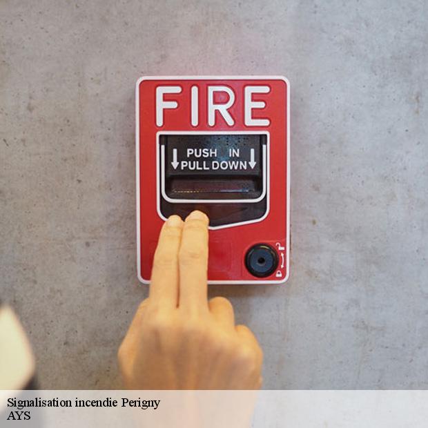 specialiste-de-la-signalisation-incendie-perigny-94520-7