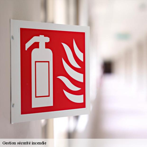 gestion-securite-incendie-par-un-professionnel-ablon-sur-seine-94480-3