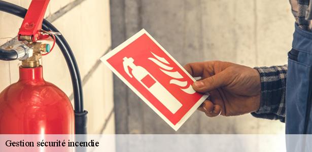 gestion-securite-incendie-par-un-professionnel-joinville-le-pont-94340-6