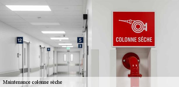 maintenance-colonne-seche-par-une-equipe-pro-limeil-brevannes-94450-6