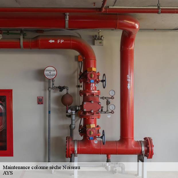 maintenance-colonne-seche-par-une-equipe-pro-noiseau-94880-1