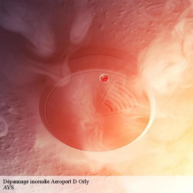 entreprise-pour-depannage-incendie-aeroport-d-orly-94390-1