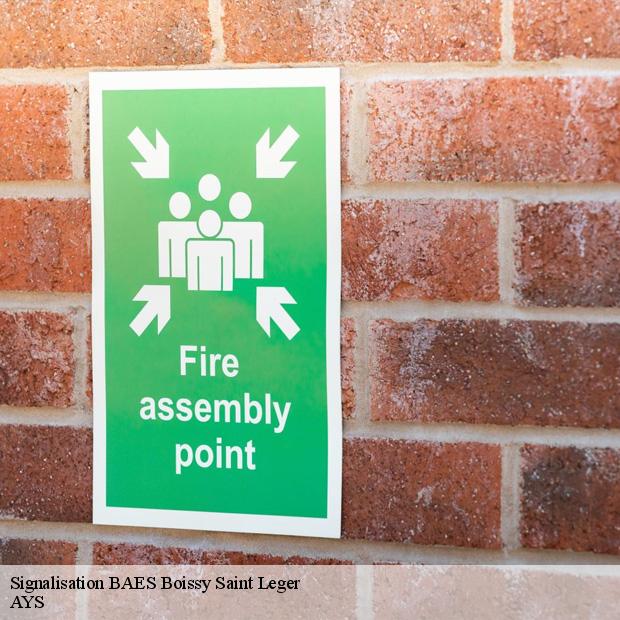 services-pour-signalisation-baes-boissy-saint-leger-94470-1