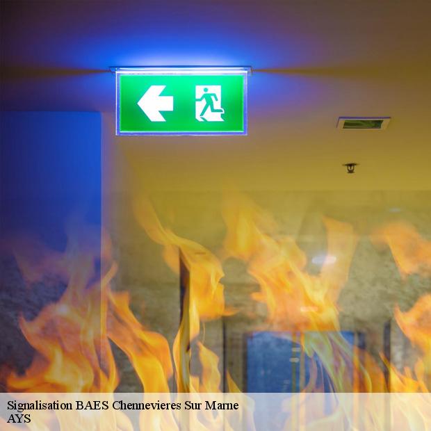 services-pour-signalisation-baes-chennevieres-sur-marne-94430-7