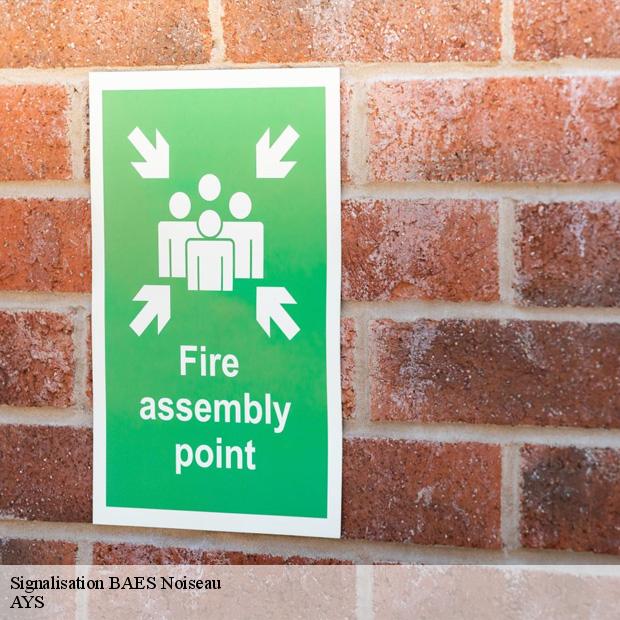 services-pour-signalisation-baes-noiseau-94880-1