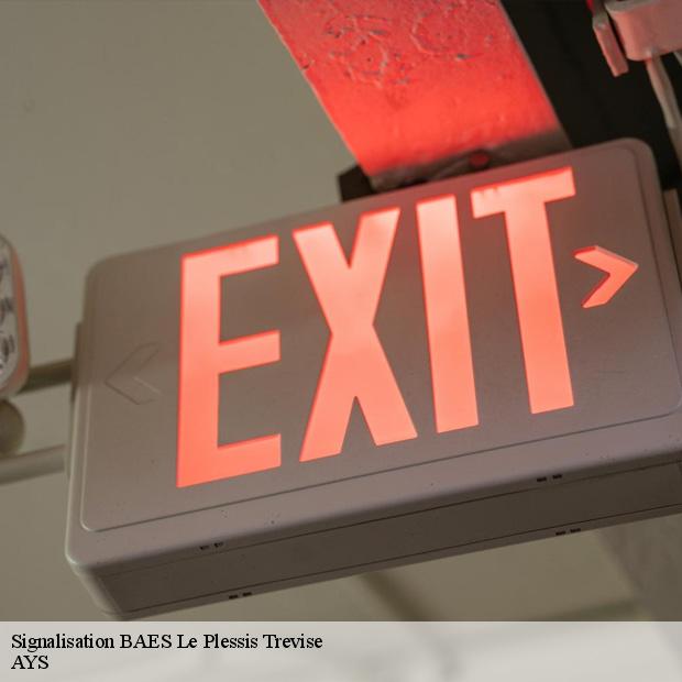 services-pour-signalisation-baes-le-plessis-trevise-94420-4