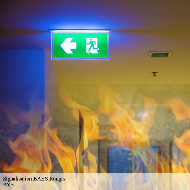 services-pour-signalisation-baes-rungis-94150-7