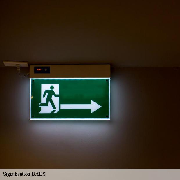 services-pour-signalisation-baes-saint-mande-94160-3