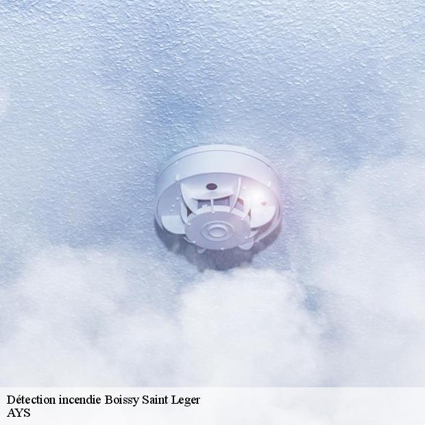 professionnel-en-detection-incendie-boissy-saint-leger-94470-1