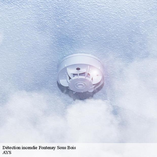 professionnel-en-detection-incendie-fontenay-sous-bois-94120-1
