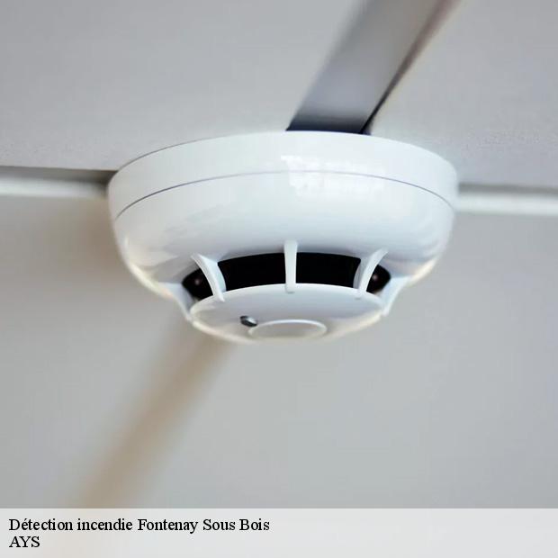 professionnel-en-detection-incendie-fontenay-sous-bois-94120-7