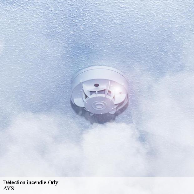 professionnel-en-detection-incendie-orly-94310-1