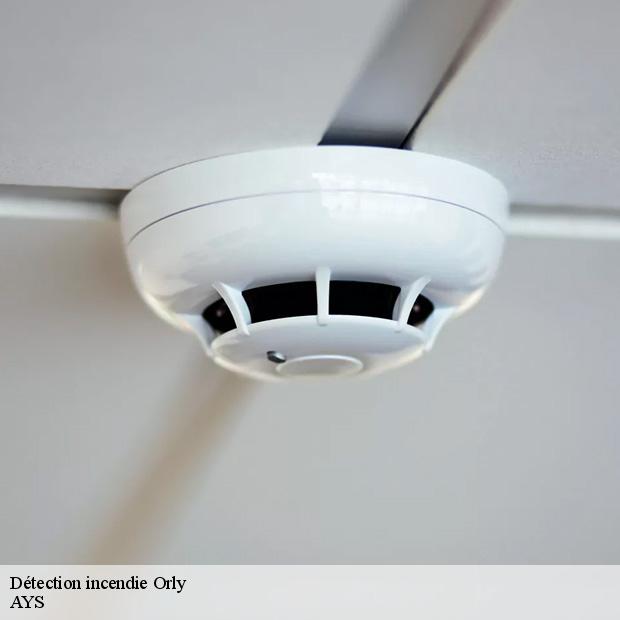 professionnel-en-detection-incendie-orly-94310-7