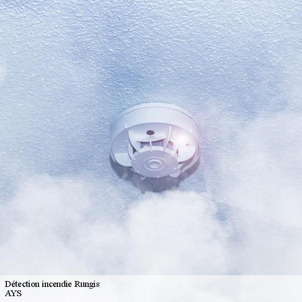 professionnel-en-detection-incendie-rungis-94150-1