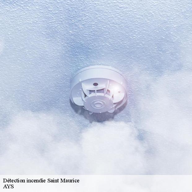 professionnel-en-detection-incendie-saint-maurice-94410-1