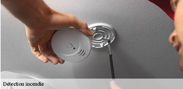 professionnel-en-detection-incendie-villeneuve-le-roi-94290-6