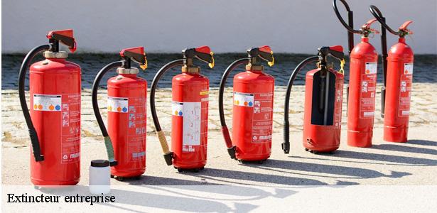 specialiste-en-extincteur-entreprise-villeneuve-le-roi-94290-6