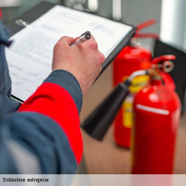 specialiste-en-extincteur-entreprise-coeuilly-94500-3